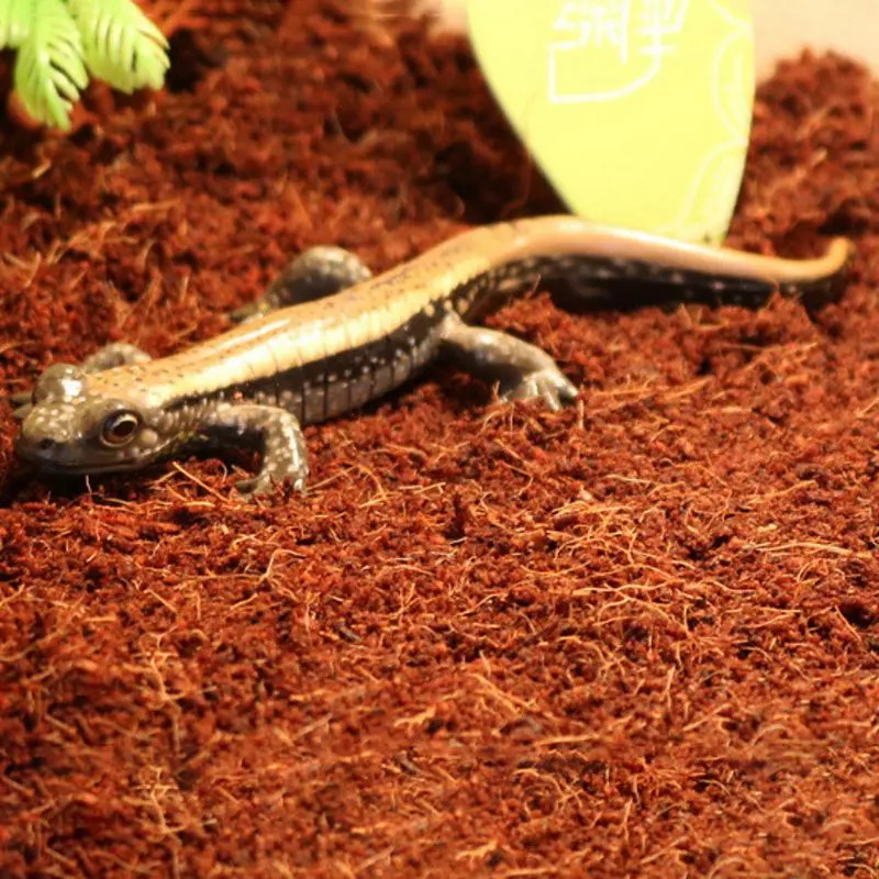 Тропічний субстрат Komodo Tropical Terrain 6 л (U46015) для терраріумів із високою вологістю - фото 4