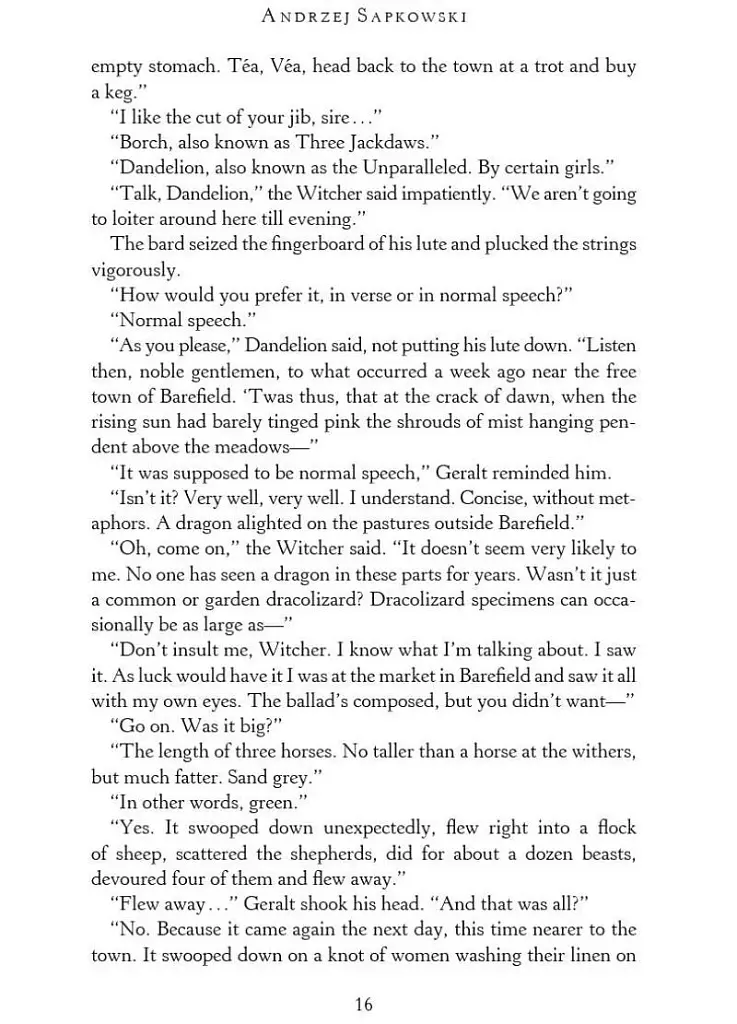 The Witcher. Sword of Destiny - фото 10