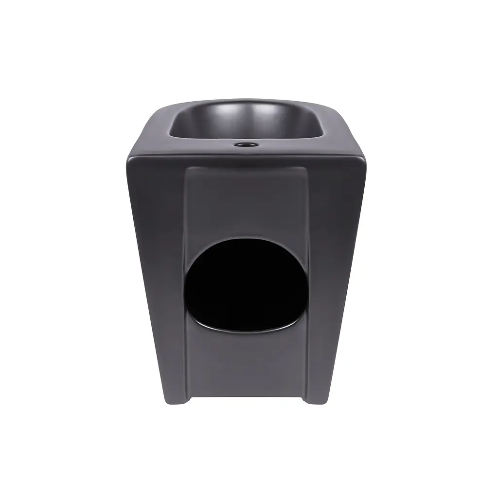 Біде підлогове Qtap Robin 565x360x405 Black matt QT13442141CMB, Чорний матовий - фото 3