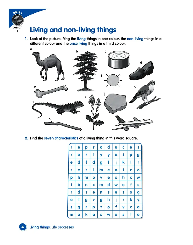 Macmillan Science. Level 4. Workbook - фото 2