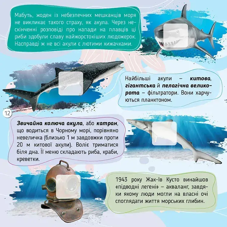 100 цікавинок. Моря, океани та їхні мешканці - Катерина Шаповалова - фото 6