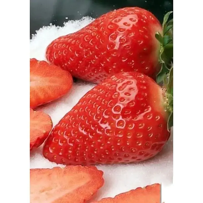 Саджанець Agro-Market Полуниця Джолі (Joly) 5шт (середній термін дозрівання) (25734) - фото 3