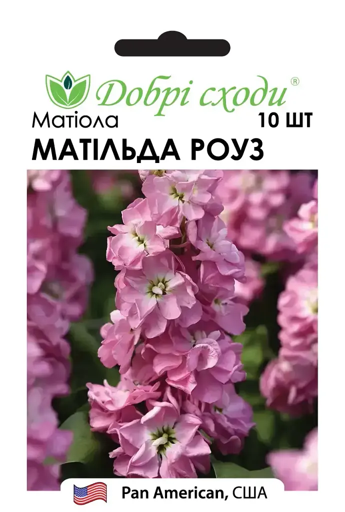 Насіння матіоли Матильда Роуз (Matilda Rose)