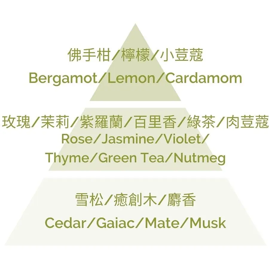 Аромадифузор Plantes&Parfums The Vert Green Tea 100 мл (8000020684212) - фото 3