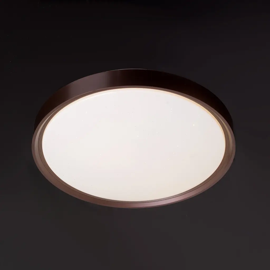 Світильник настінно-стельовий для ванної Brille W-629/20W NW - фото 2