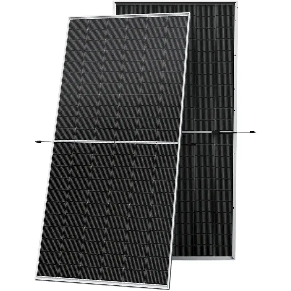 Солнечная панель TrinaSolar Bifacial 620W (TSM-620NEG19RC.20) [157546] - фото 2