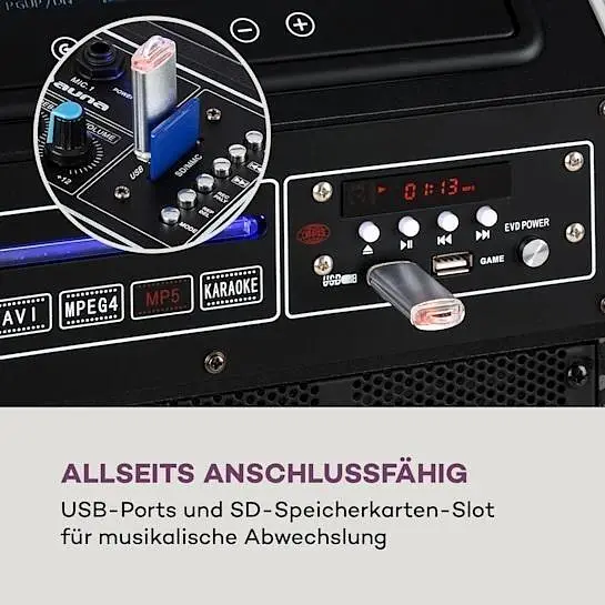 Мобильная акустическая система Auna Pro DisGo Box 2100 DVD (10035201) - фото 6