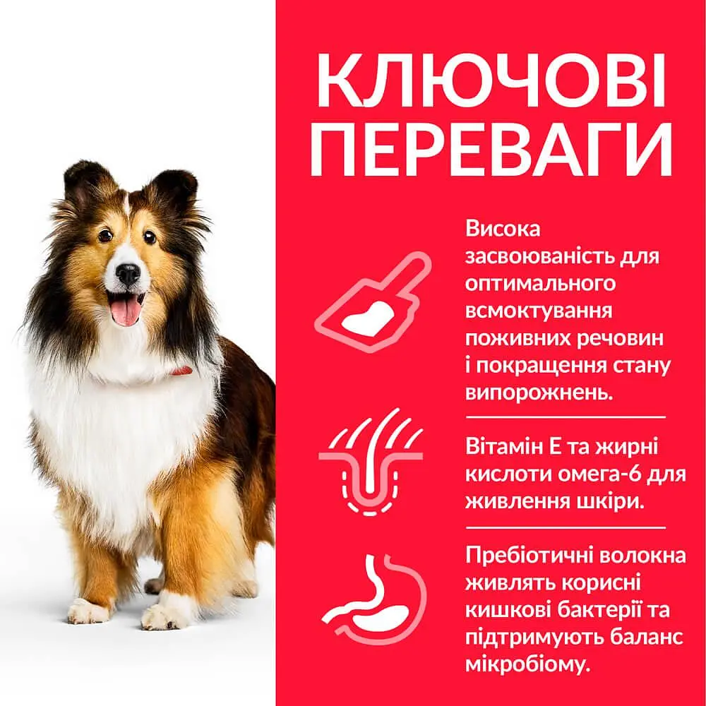 Сухий корм Hill’s SP Adult Sensitive Stomach&Skin Medium Breed для собак середніх порід з куркою 14 кг - фото 2