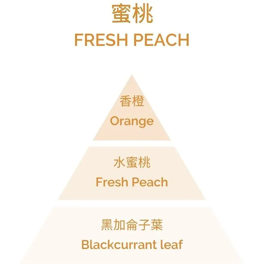 Аромадифузор Plantes&Parfums Peche de Vigne Fresh Peach 100 мл (8000020684200) - фото 3
