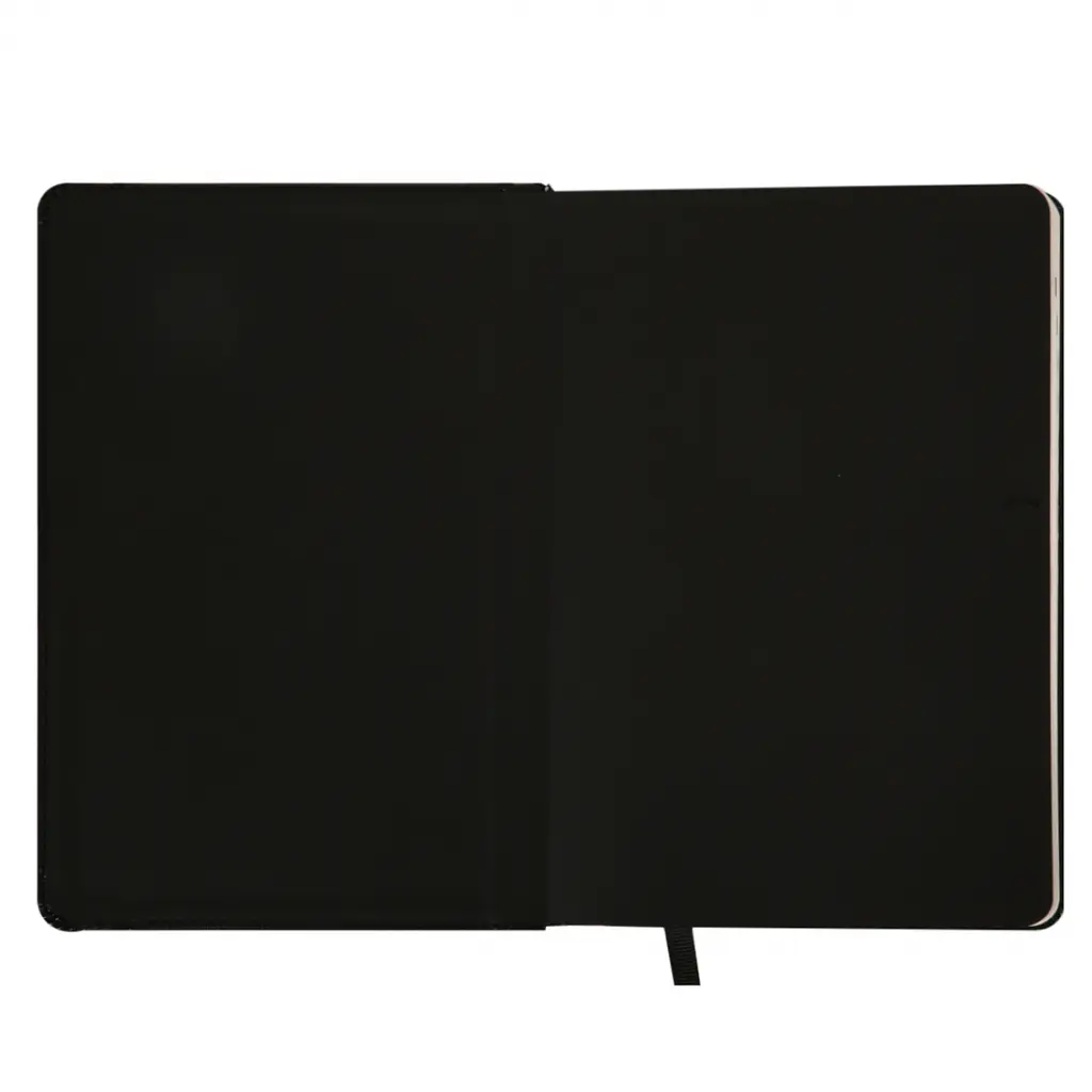 Дневник-деловая записная книжка А5 Leo Planner Legacy 2026 твердый черный 368 страниц (252649) - фото 6