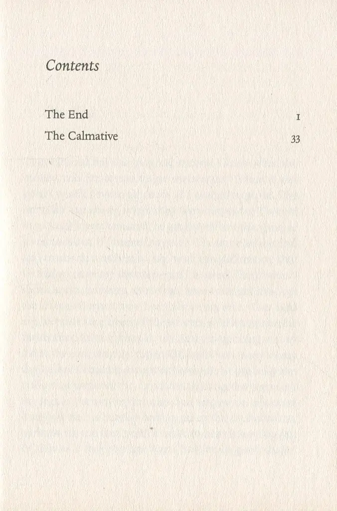 The End - фото 3