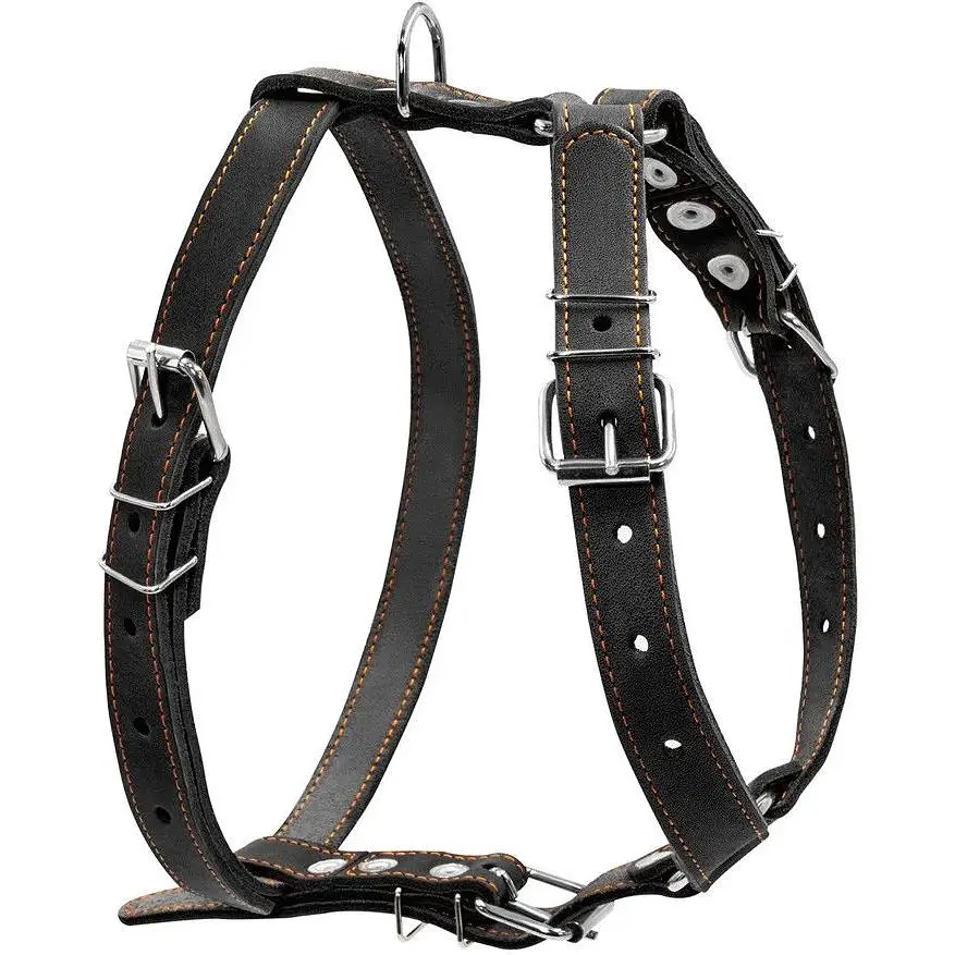 Шлейка Collar одинарная для средних собак (ширина 25мм, А:49-68см, В:68-80см) черная - фото 2