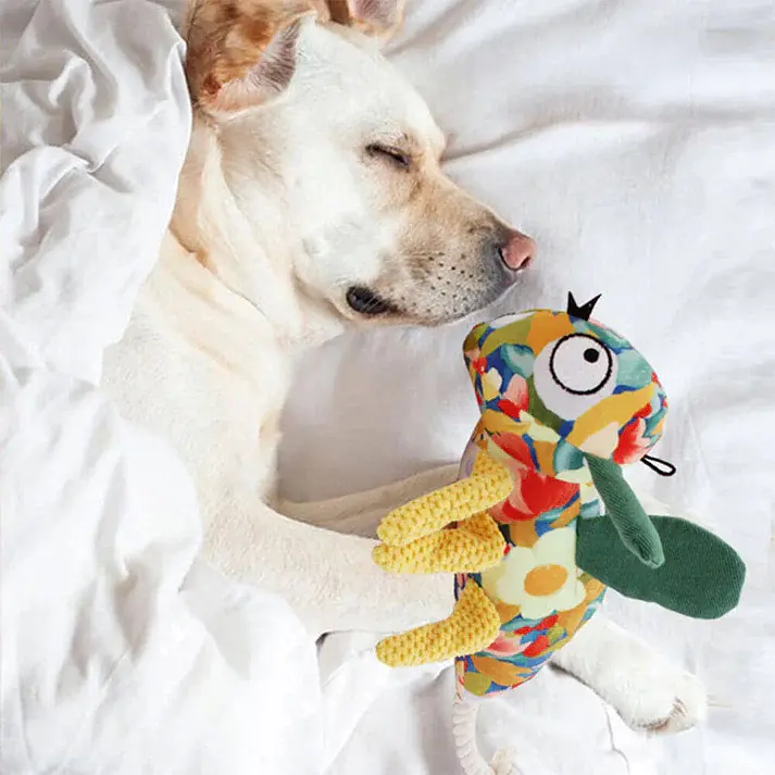 М'яка іграшка для собак Derby Pet Garden - Dragonfly Shaped Dog Plush Toy with Rope - фото 2