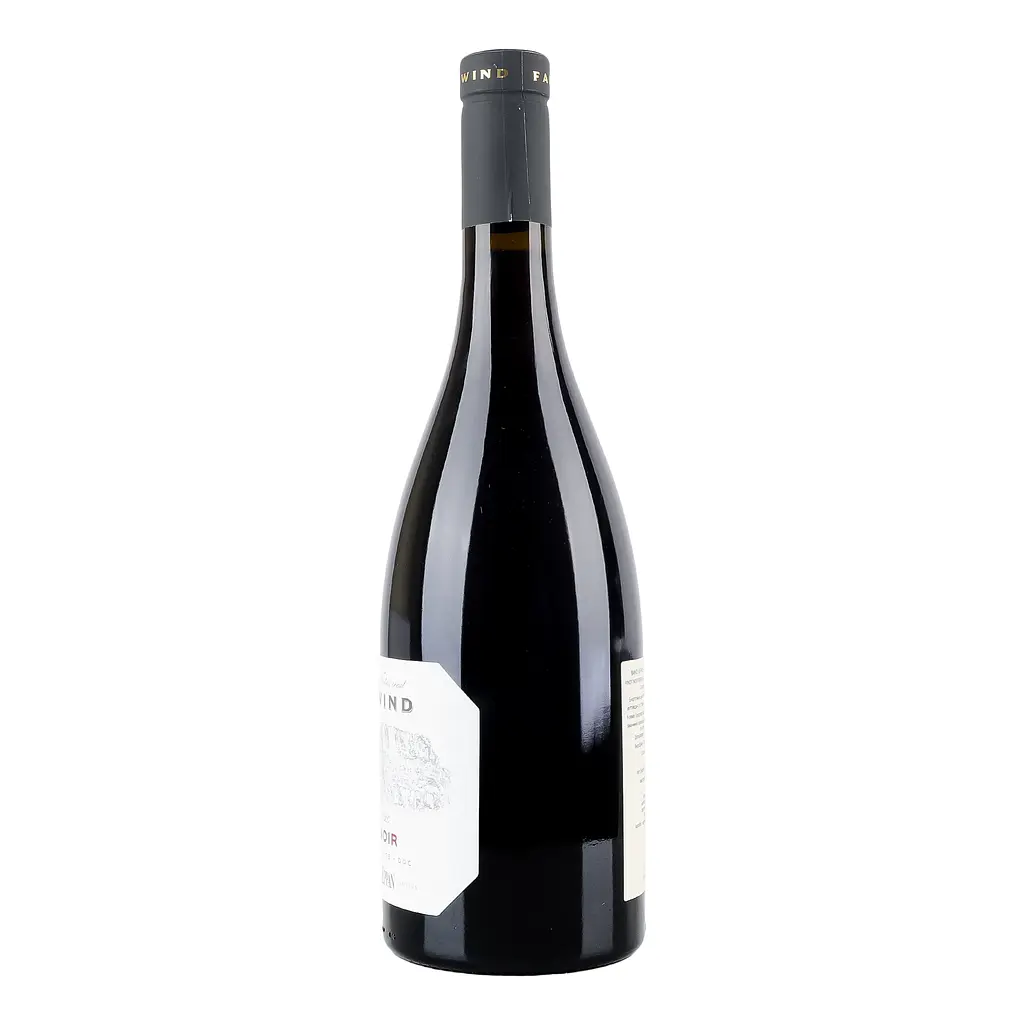 Вино St.Michael-Eppan Appiano Pinot Noir Riserva Fallwind Alto Adige DOC 2020 красное сухое 0.75 л - фото 4