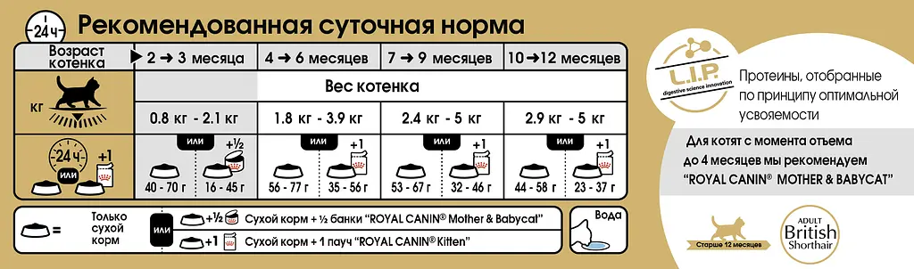 Сухий корм для кошенят Royal Canin Kitten British Shorthair 10 кг 2566100 - фото 2