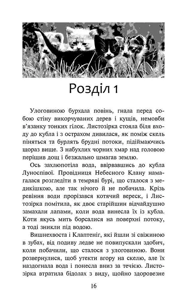 Коти-вояки. Доля Небесного Клану. Спеціальне видання - фото 3