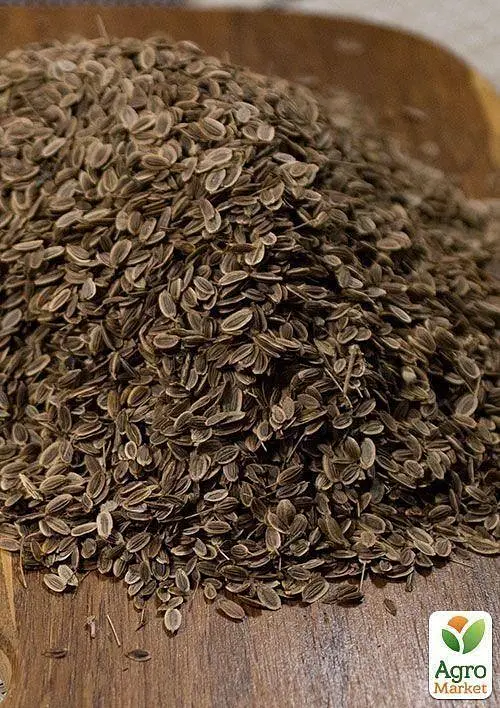 Насіння Agro-Market Кріп Кущовий на вагу ціна за 20 г (13352) - фото 4