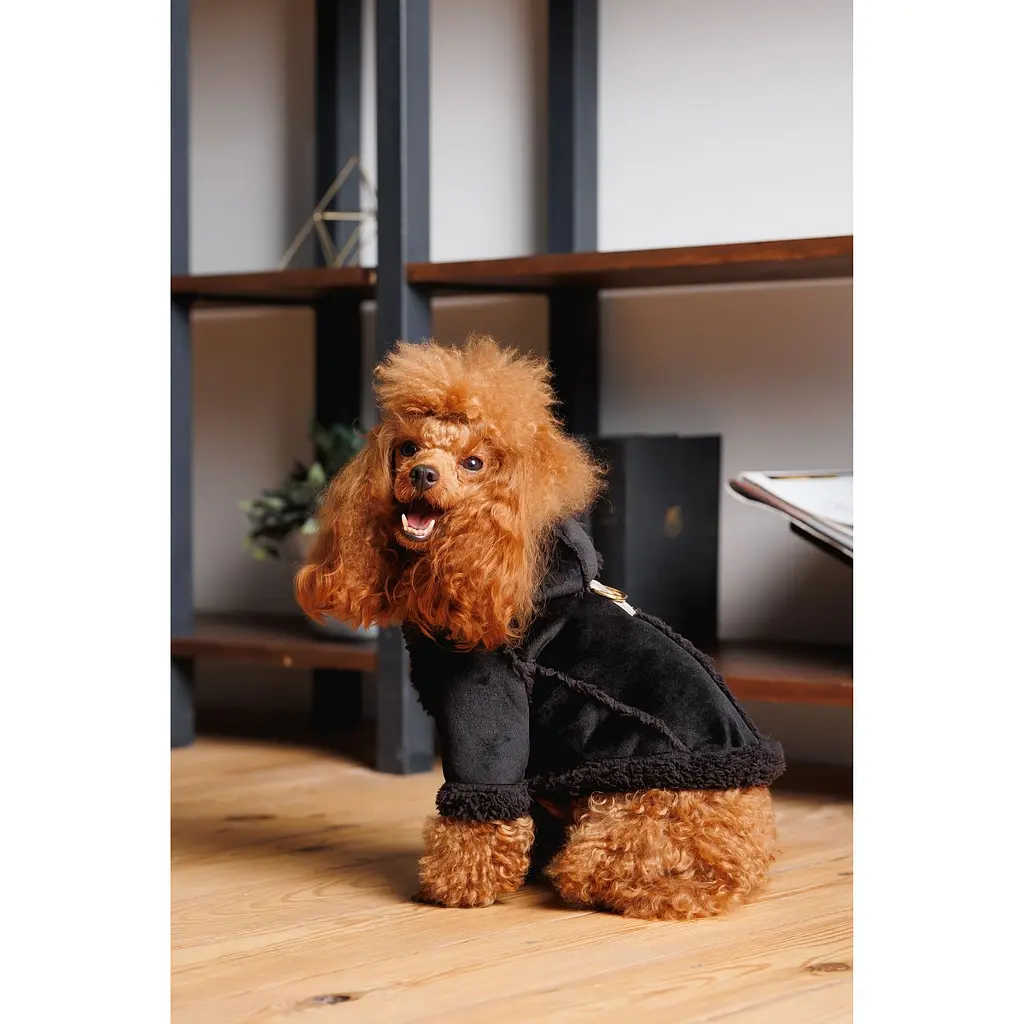 Дублянка для собак Pet Fashion ХS Black  - фото 5