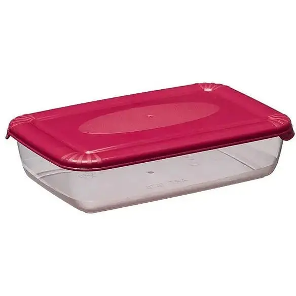 Контейнер Plast Team Polar прямоугольный 163х107х40 мм 0.45 л (1670) - фото 2