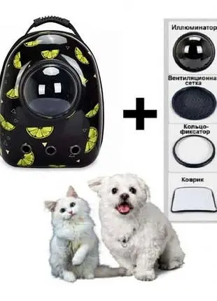 Космічний рюкзак для перенесення свійських тварин CosmoPet з ілюмінатором - фото 5