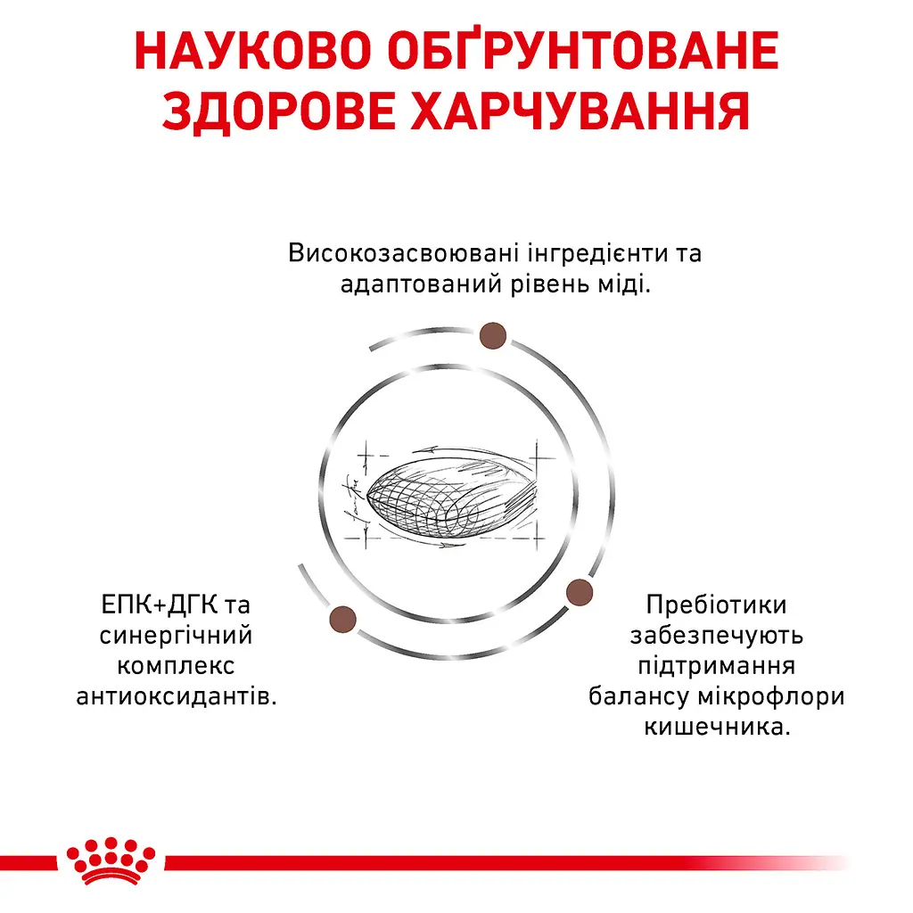 Сухий корм для дорослих собак Royal Canin Hepatic для підтримки функції печінки при хронічній печінковій недостатності 1.5 кг - фото 2