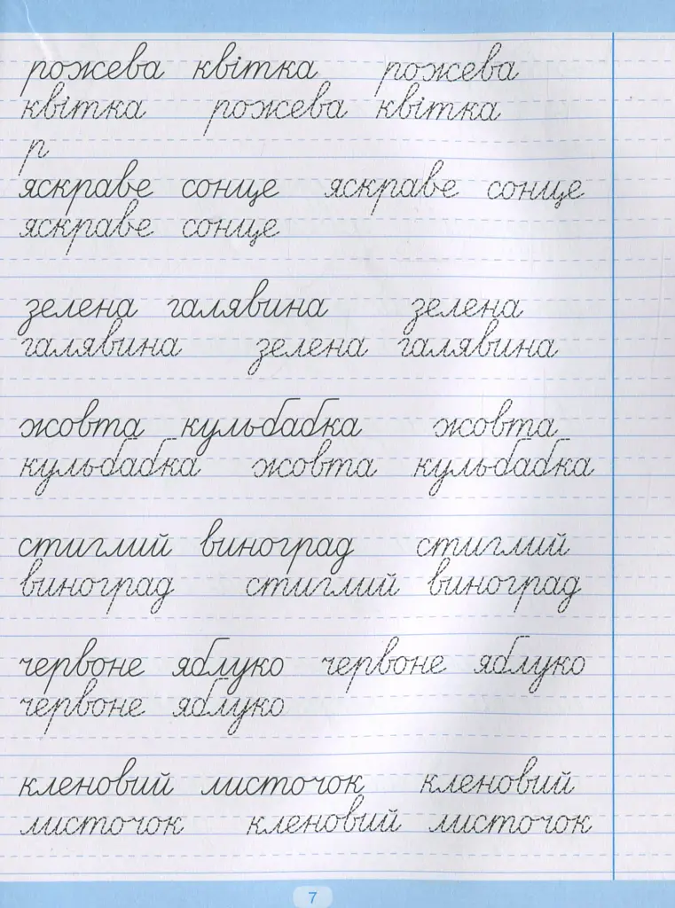 Тренажер для списування речень і текстів. Широка лінійка - фото 8