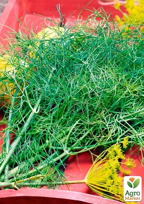 Насіння Agro-Market Кріп Делікатесний на вагу ціна за 20 г (177355) - фото 2