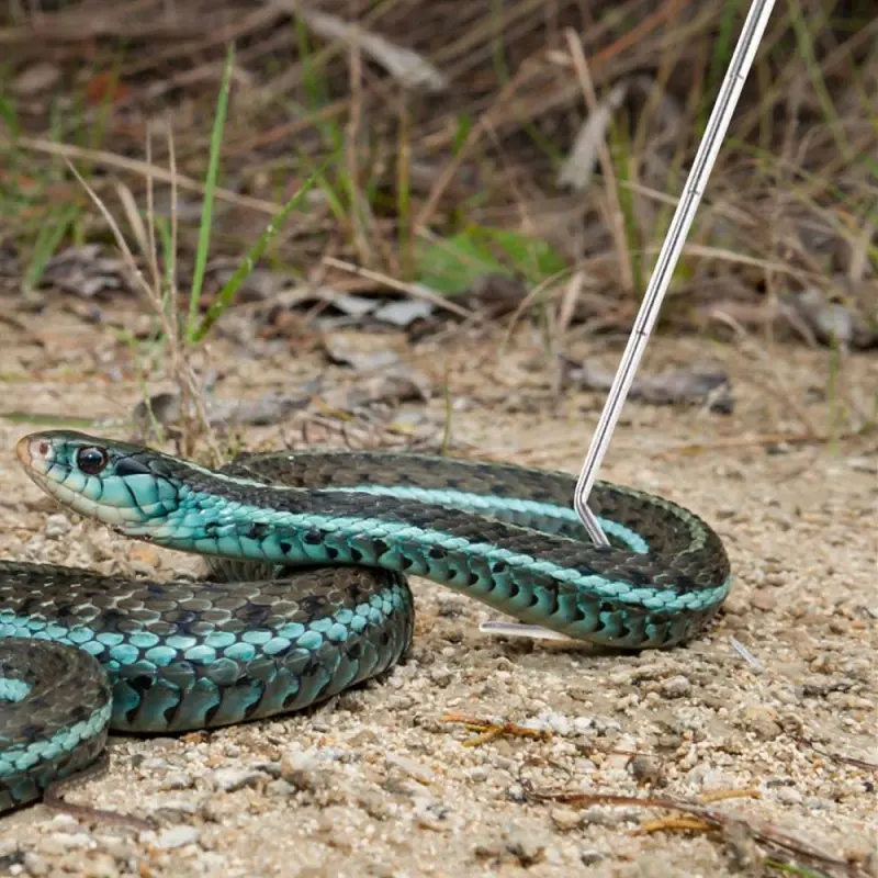 Гачок для змій телескопічний Repti-Zoo Stainless Snake Hook SNH03, 21–58 см, нержавіюча сталь, до 2 кг - фото 8