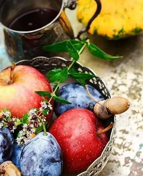 Саженец Agro-Market Слива Венгерка (поздний срок созревания) (36759) 1 шт. в упаковке - фото 4