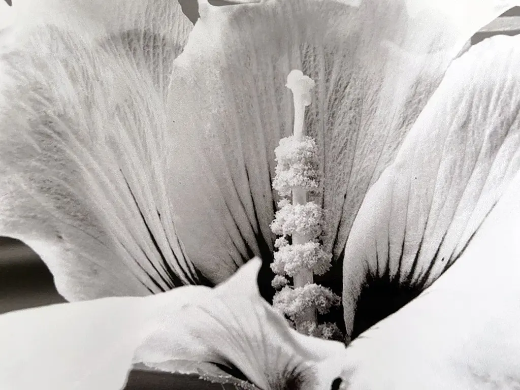 Вінілова наклейка на стіл Чорна цегла самоклеюча Квіти Текстура 65х120 см Happy Pocket Z181316 - фото 8
