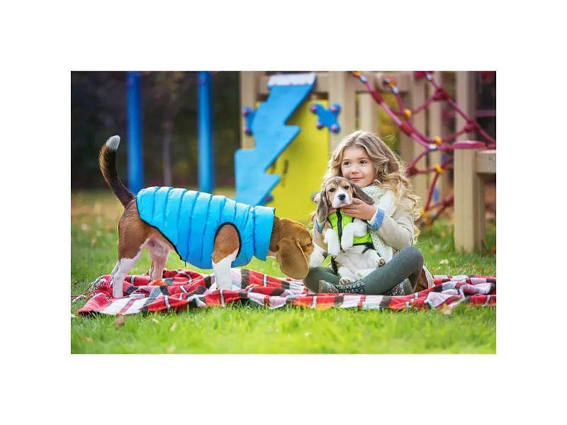 Курточка для животных Collar AiryVest "Colors of freedom" XS 25 (4440-4020) - фото 6