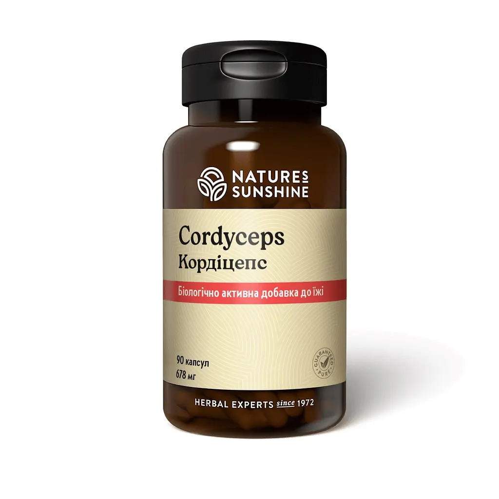 Кордіцепс НСП, 90 капсул | Cordyceps NSP