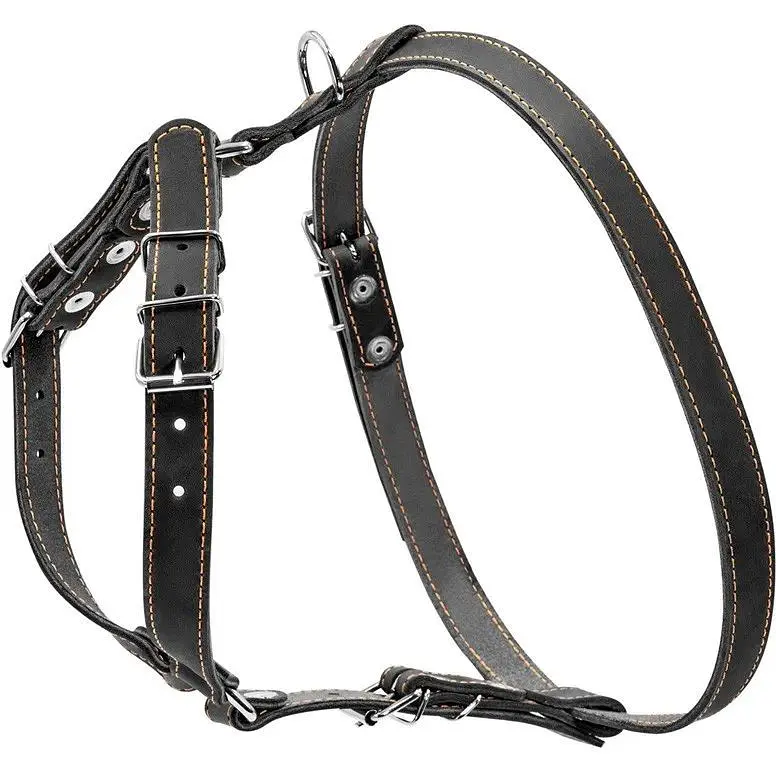 Шлея Collar одинарна для малих та середніх собак (ширина 20мм, А:40-56см, В:57-65см) чорний - фото 2
