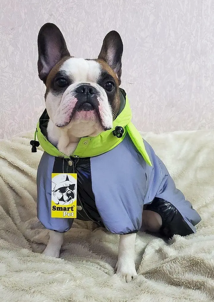 Комбінезон Smart Pet Grogu - фото 2