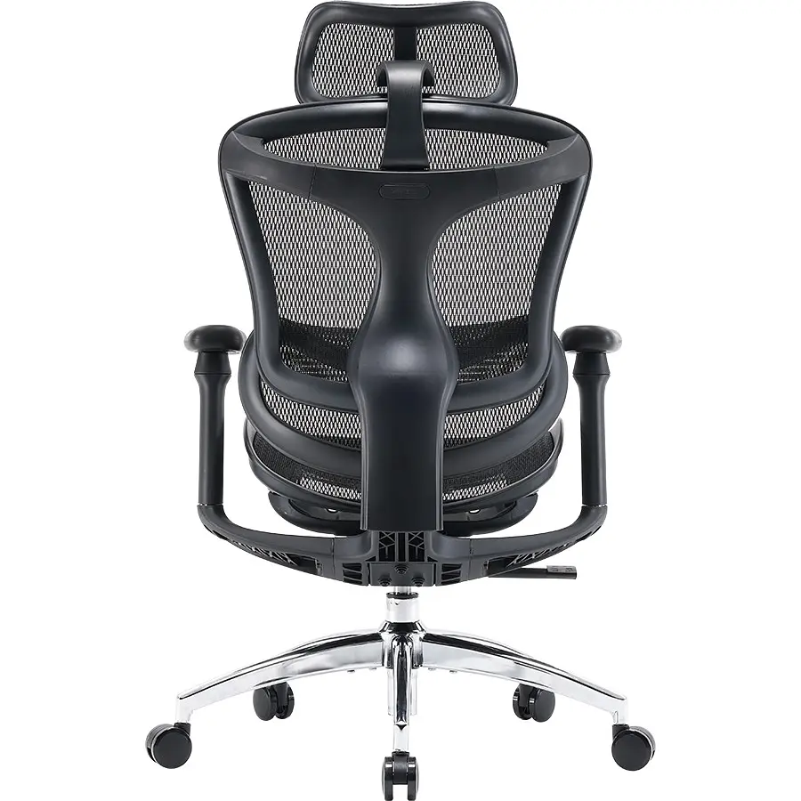 Кресло офисное Sihoo Doro C300L Black (DORO-C300L-A3-101) - фото 2