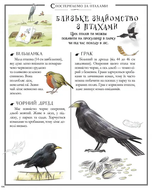 Boys’ Book. Підручник відважного мандрівника - Мішель Лекре - фото 4