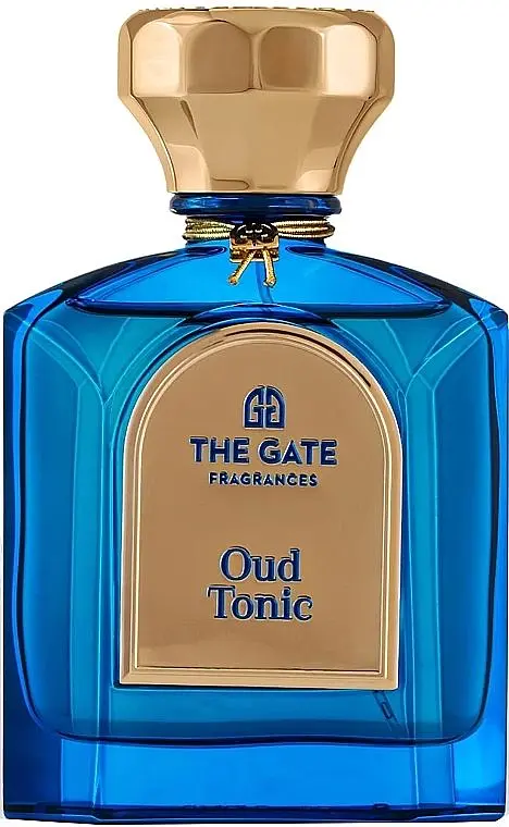 Парфуми The Gate Fragrances Paris Oud Tonic Тестер 100 мл