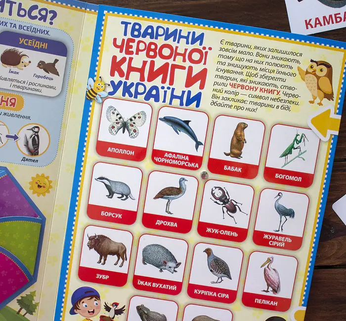 Тварини. Лепбук - - фото 4