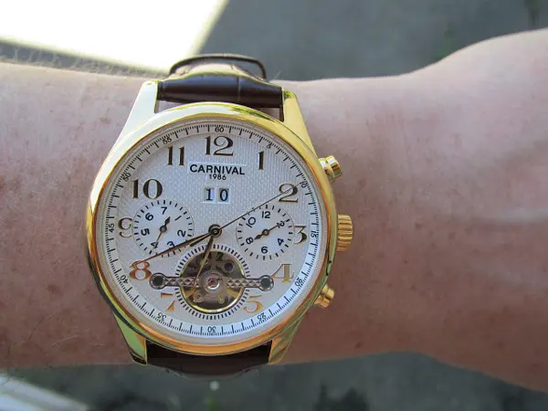 Годинник Carnival Swiss Brown - фото 21