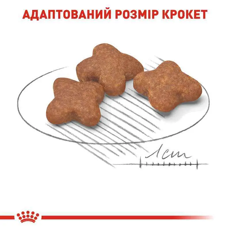 Сухий корм для собак віком від 8 до 12 років Royal Canin Mini Adult 8+, 2 кг (30020209) - фото 3