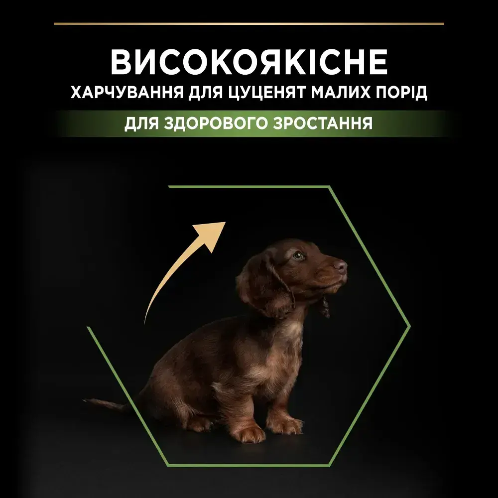 Сухий корм для щенят Purina Pro Plan Small & Mini Puppy Healthy Start з куркою 700 г 12272382 - фото 4