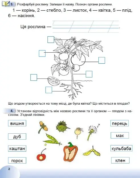 Я досліджую світ 1 клас. Робочий зошит з інтегрованого курсу. Частина 2 - фото 3