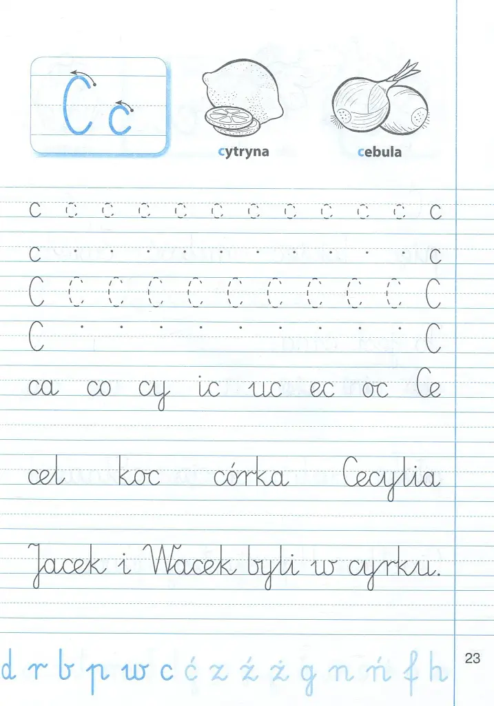 Polska. Zeszyt do kaligrafii. Зошит для письма з польської мови - Оксана Рудницька - фото 4