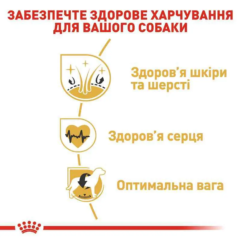 Сухий корм для дорослих собак породи Золотистий ретрівер Royal Canin Golden Retriever Adult, 3 кг (3970030) - фото 6