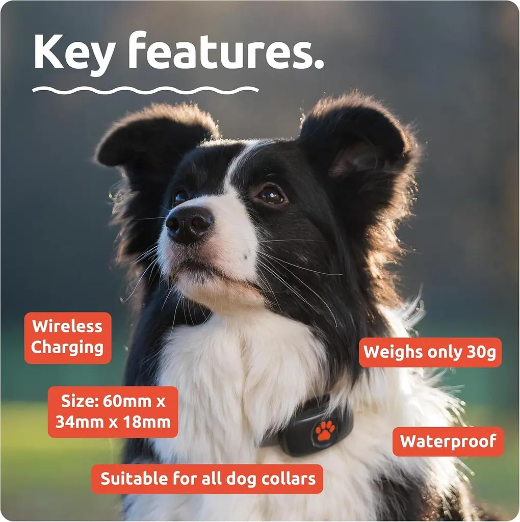 GPS-трекер для собак PitPat — подписка не требуется — Подходит для всех собак и всех ошейников — Умный трекер - фото 6