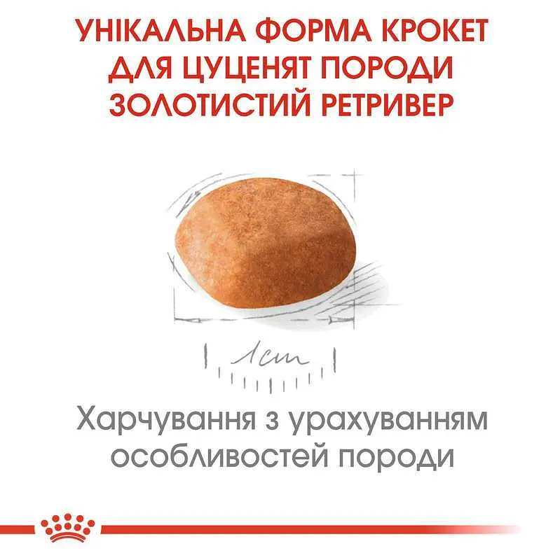 Сухой корм для щенков породы Золотистый Ретривер Royal Canin Golden Retriever Puppy, 3 кг (39790301) - фото 3