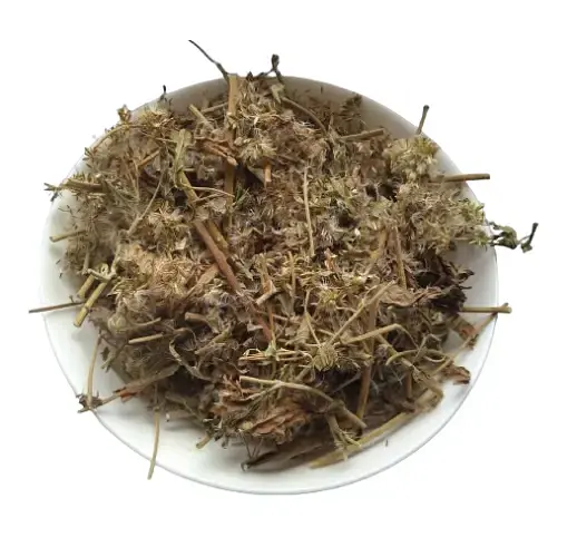 Сідач конопляний Трава Давник Коноплі Собачі Eupatorium cannabinum - фото 2