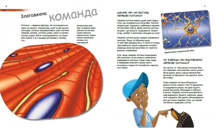 Книга Ранок Дивовижний світ клітин - Патрік А. Боерле (С1354002У) - фото 2
