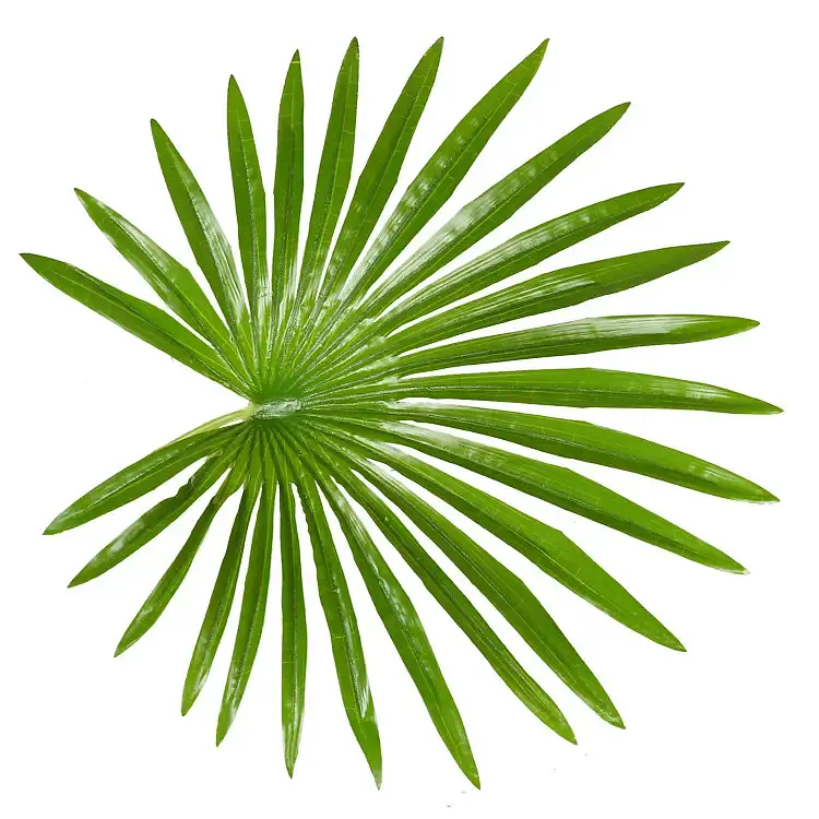 Искусственное растение Engard Fan Palm 120 см (DW-27) - фото 5