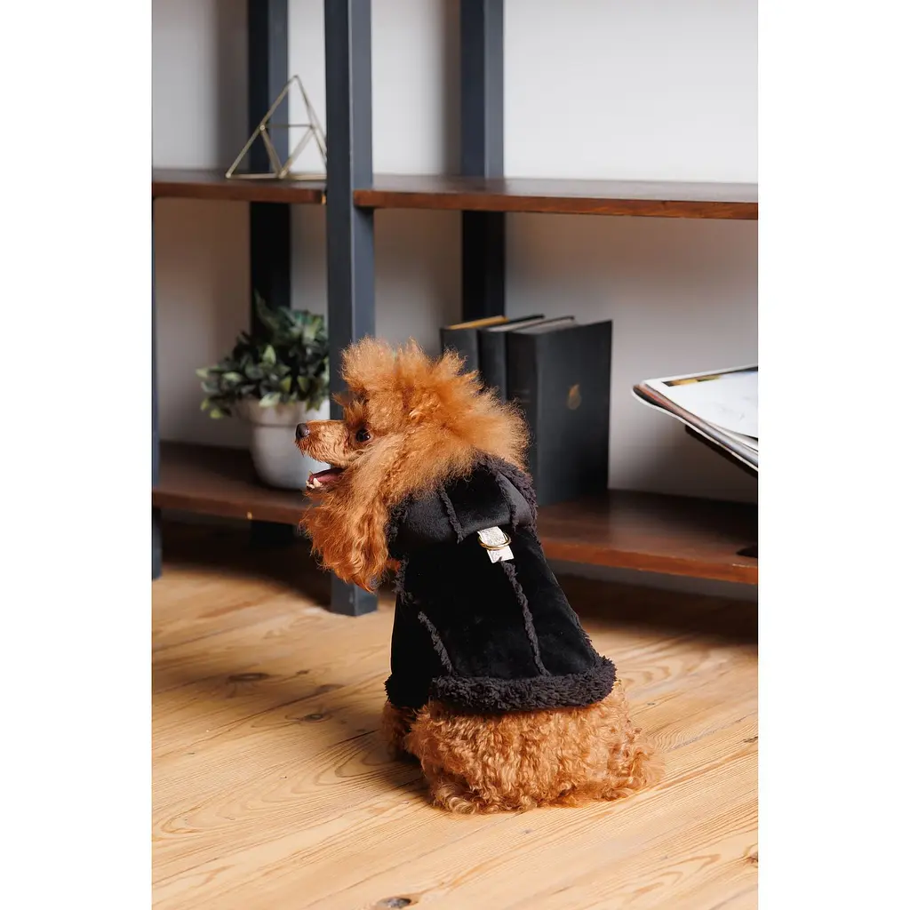 Дублянка для собак Pet Fashion ХS Black  - фото 4